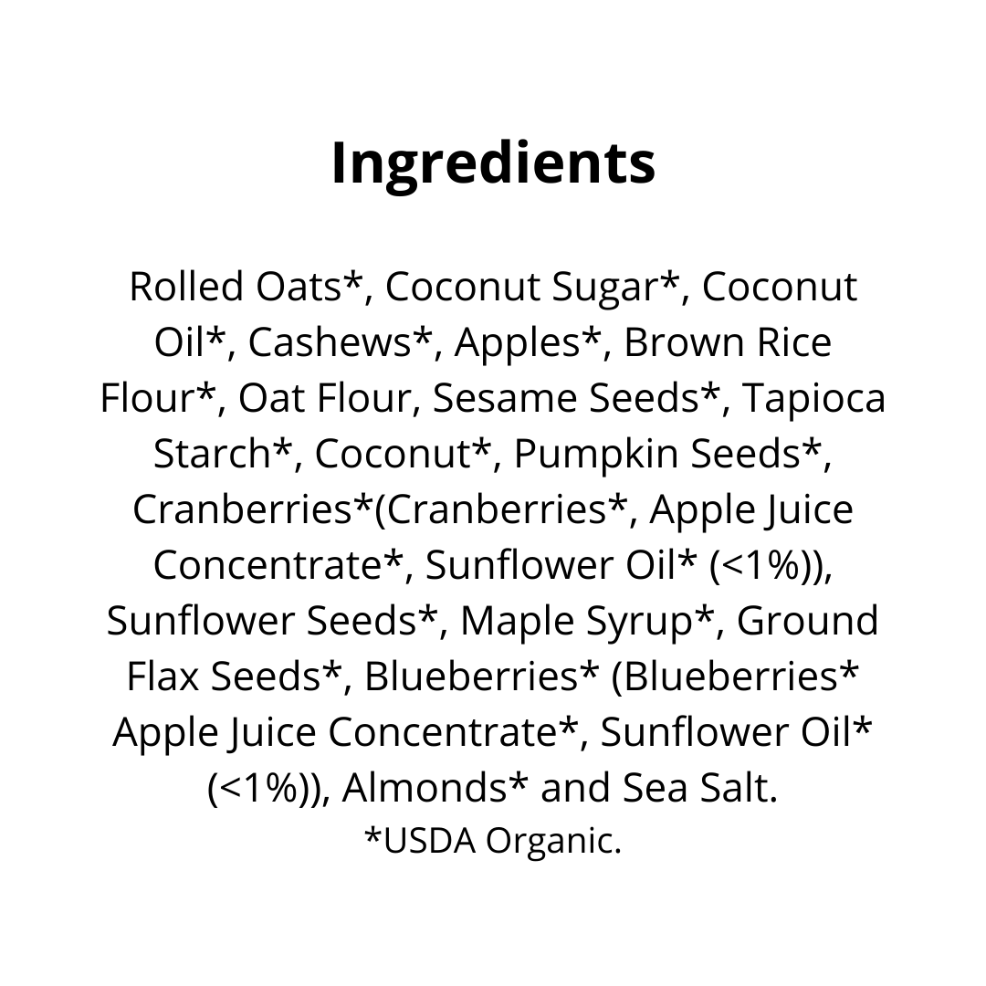 Super Omega Squares-Dried Fruit